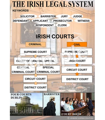The Irish Legal System Poster