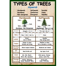 Types of Trees Poster