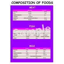 Composition of Foods Poster