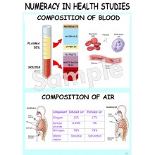 Numeracy in Health Studies Poster